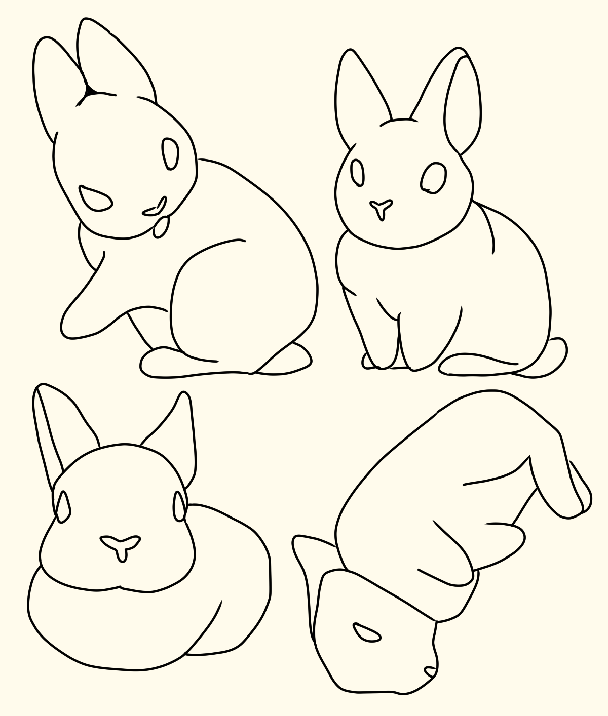 Outlines of a rabbit